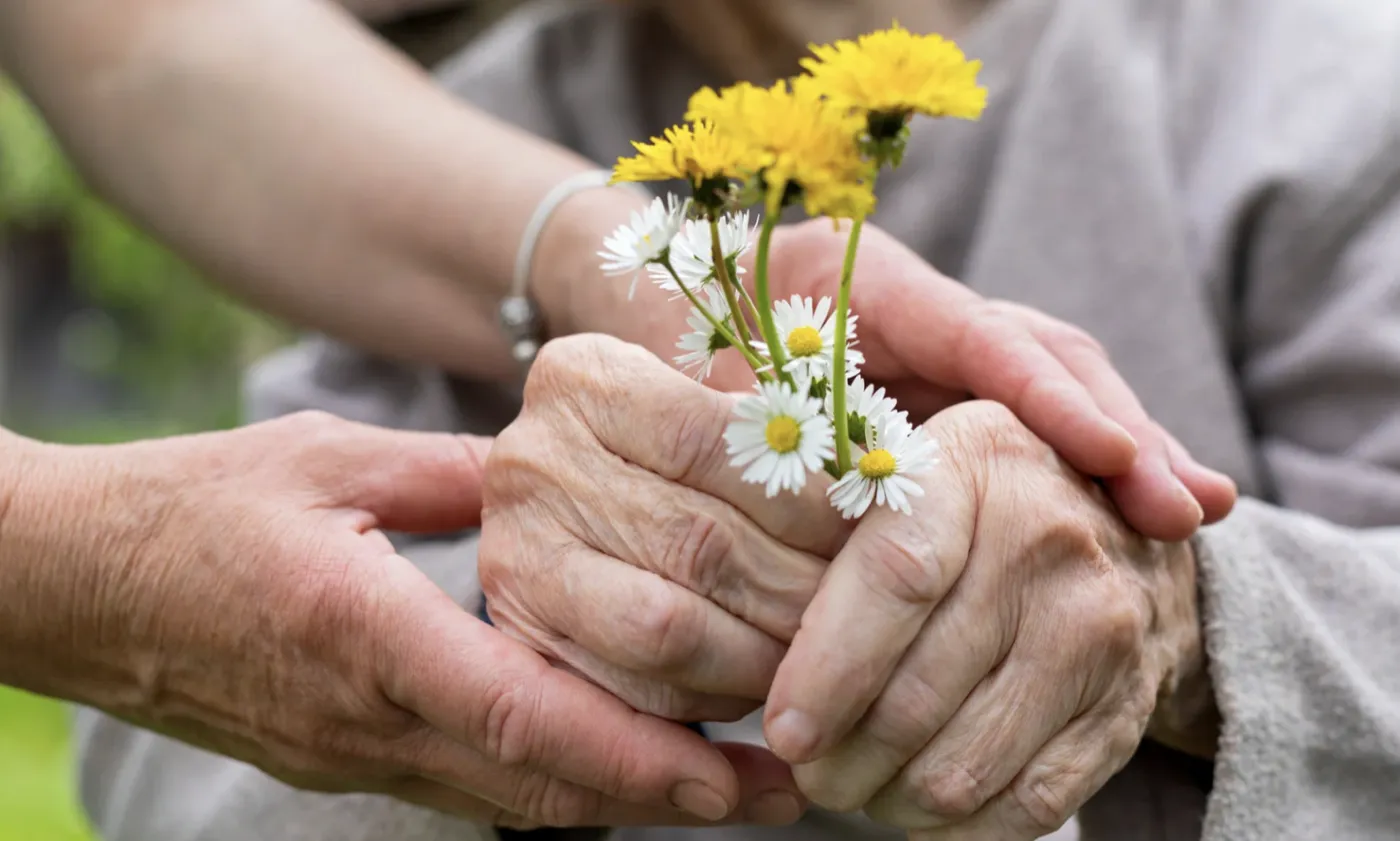 A younger person gently cradling the hands of an older person holding a small bunch of daisies and dandelions